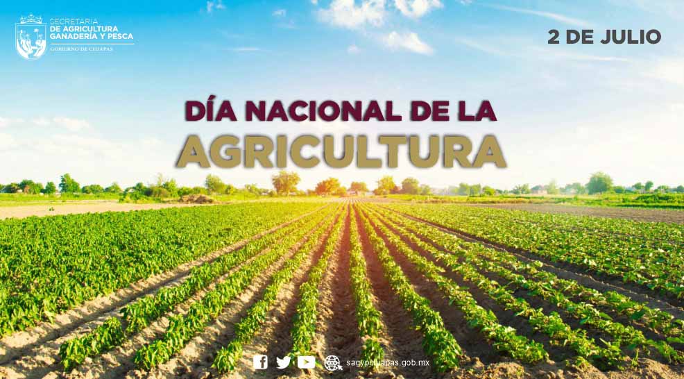 En la #SAGyP celebramos el Da Nacional de la Agri