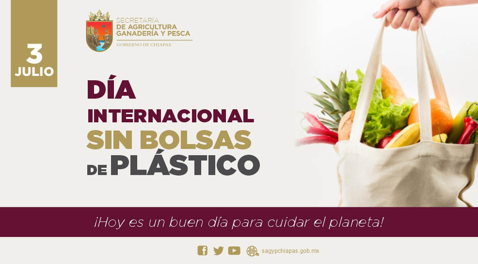 Hoy es el Da Mundial Sin Bolsas de Plstico. Co