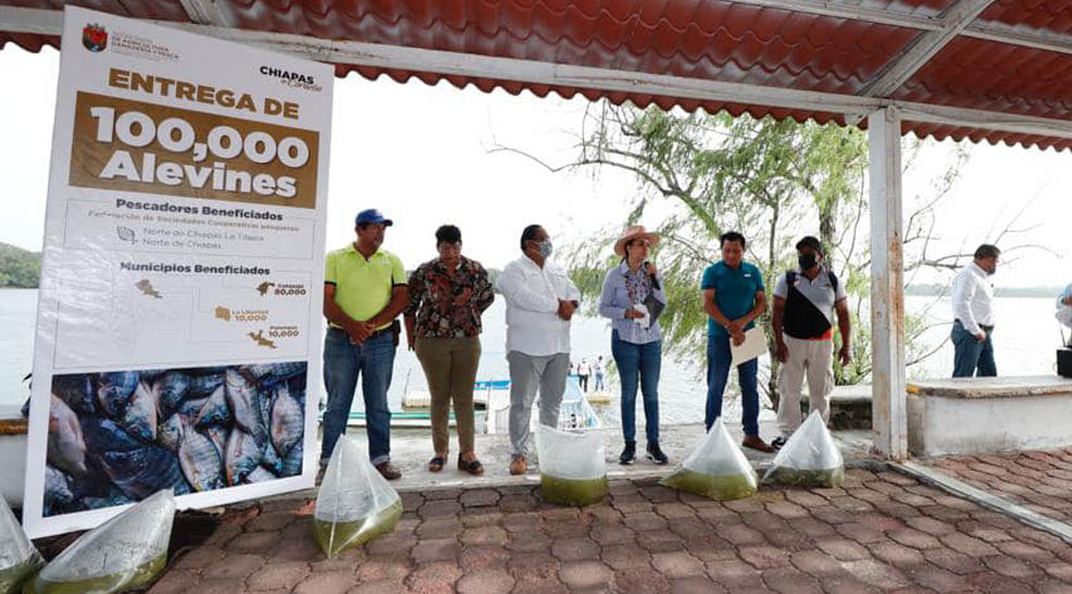 De gira de trabajo por la regin Maya, la titular 