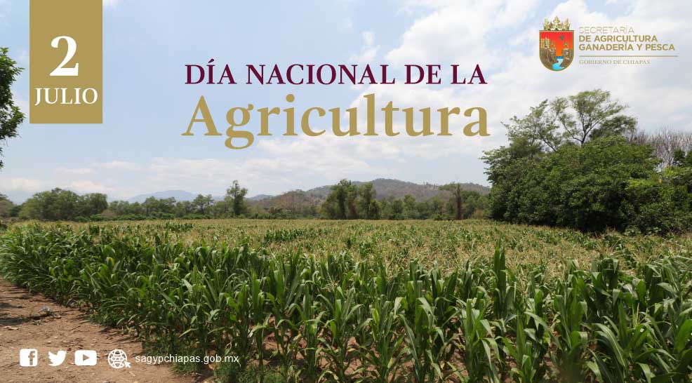 Secretaría De Agricultura, Ganadería Y Pesca