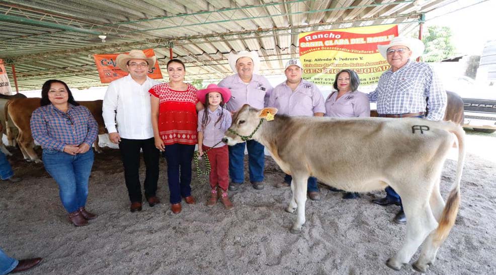 Secretaría De Agricultura, Ganadería Y Pesca