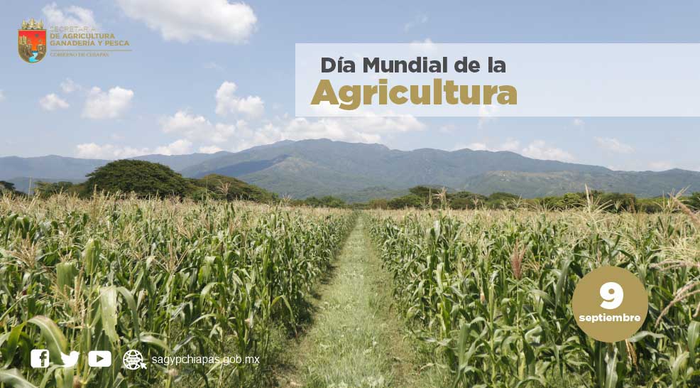 Hoy nos sumamos a la celebracin del Da Mundial d